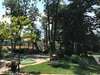 Отель Oleander House and Tennis Club Солнечный Берег-6